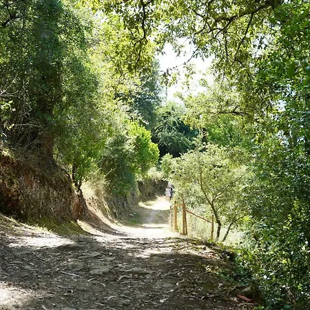 Casa Do Jorge Λεϊρία