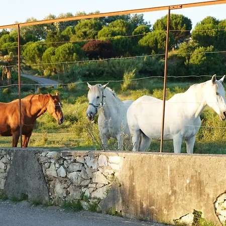 Casa Do Jorge Σπίτι διακοπών