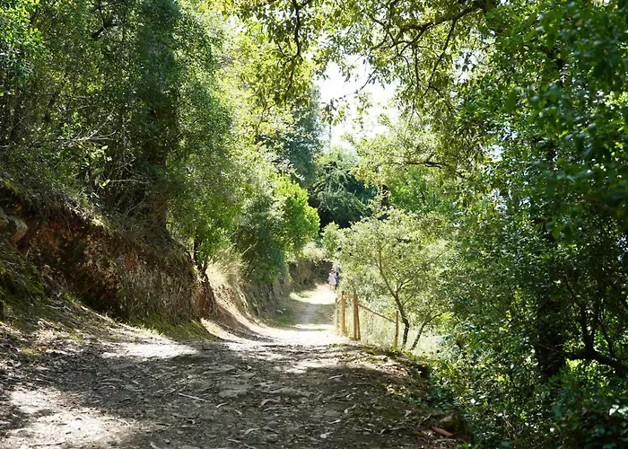 Casa Do Jorge ليريا