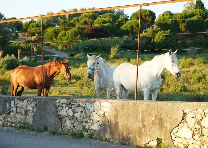 Casa Do Jorge بيت للعطل